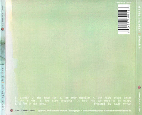 David Sylvian - Blemish (tweedehands CD) - Velvet Music