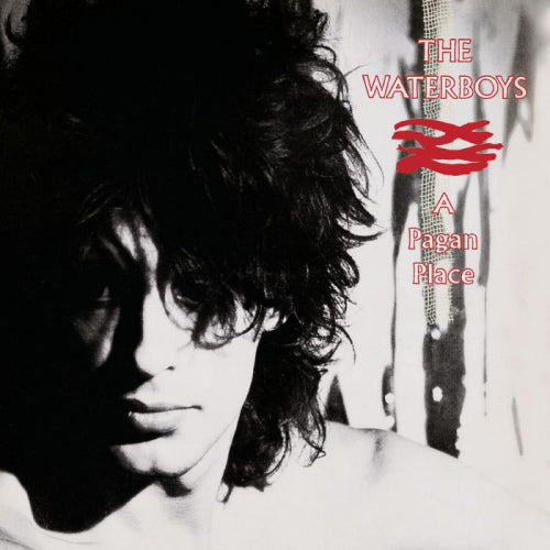 Waterboys - A pagan place -remast- (CD) - Velvet Music