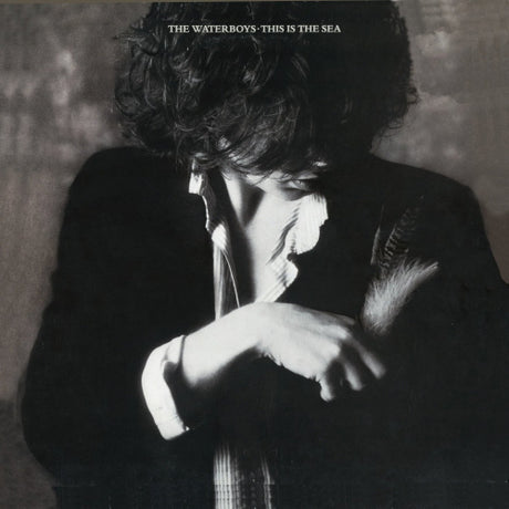 The Waterboys - This is the sea (LP)