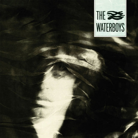 Waterboys - Waterboys (LP) - Velvet Music