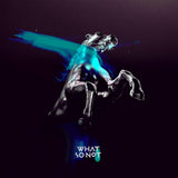 What So Not - Not all the beautiful things (LP)