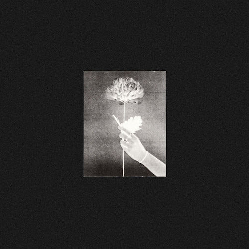 White Flowers - Day by day (LP)