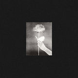 White Flowers - Day by day (CD) - Velvet Music
