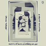 Matthew E. White /lonnie Holley - Broken mirror: a selfie reflection (CD)