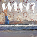 Why - Moh lhean (LP) - Velvet Music