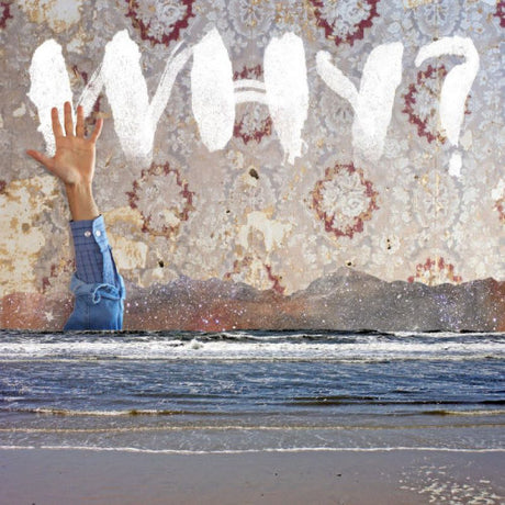 Why - Moh lhean (LP) - Velvet Music