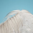 Widowspeak - All yours (CD) - Velvet Music