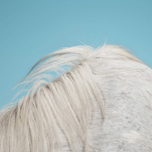 Widowspeak - All yours (CD) - Velvet Music