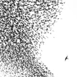 Wilco - Sky blue sky (LP) - Velvet Music