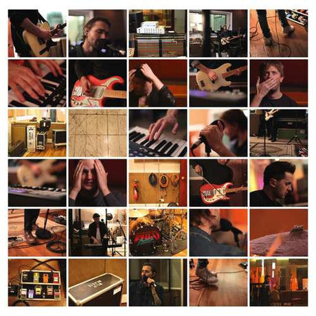 Wild Beasts - Last night all my dreams came true (LP) - Velvet Music