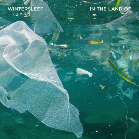 Wintersleep - In the land of (LP)