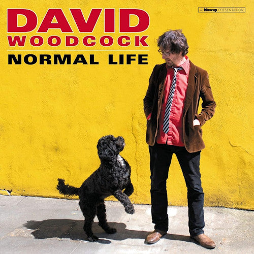 David Woodcock - Normal life (LP) - Velvet Music