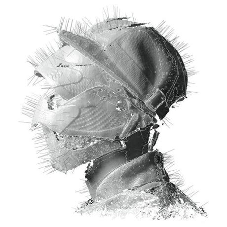 Woodkid - The Golden Age (LP)