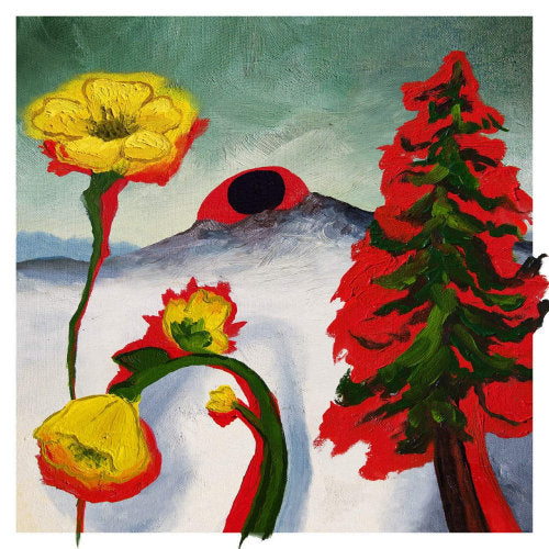 Woods - Strange to explain (LP) - Velvet Music
