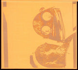 Pixies - Indie Cindy (tweedehands CD) - Velvet Music