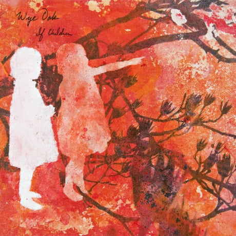 Wye Oak - If children (CD) - Velvet Music