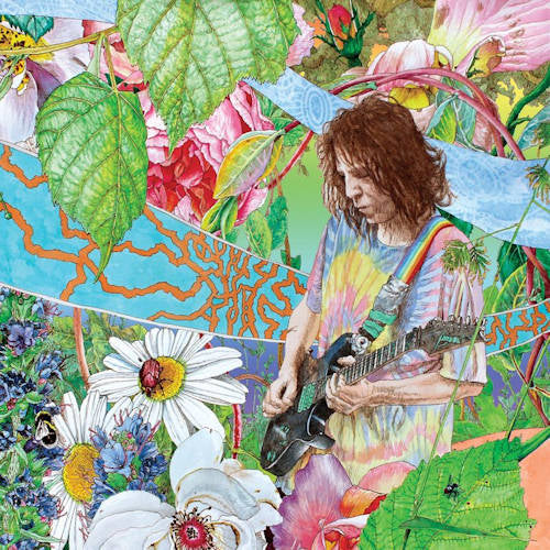 Ed Wynne - Shimmer into nature (LP) - Velvet Music