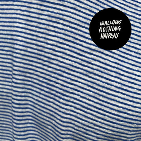 Wallows - Nothing happens (CD) - Velvet Music