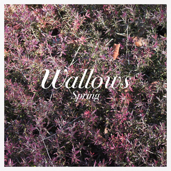 Wallows - Spring (LP)