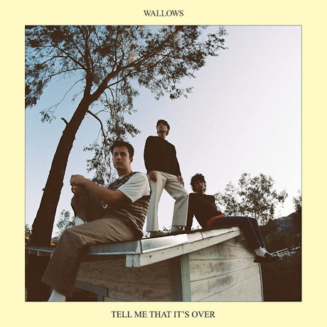 Wallows - Tell me that it's over (LP) - Velvet Music