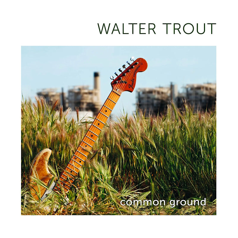 Walter Trout - Common ground (LP)