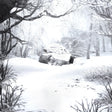 Weezer - SZNZ: winter (LP) - Velvet Music