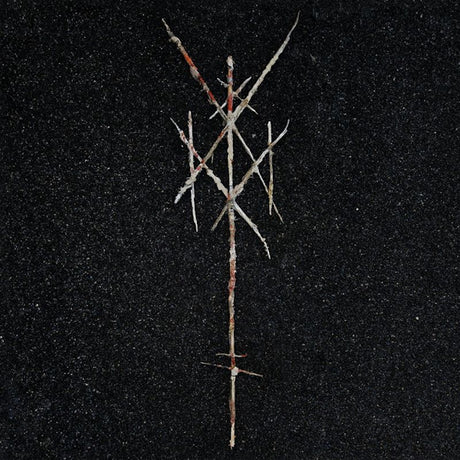 Wiegedood - There's always blood at the end of the road (LP) - Velvet Music