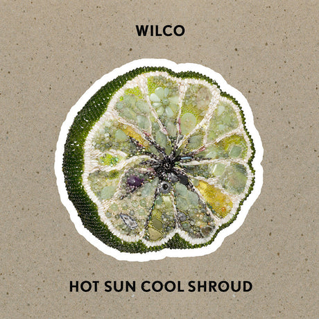 Wilco - Hot Sun Cool Shroud (LP) - Velvet Music