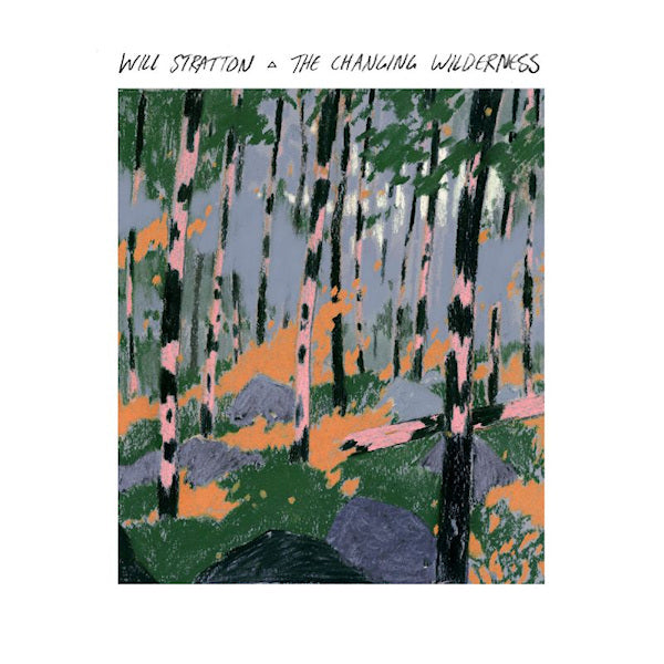 Will Stratton - Changing wilderness (CD) - Velvet Music