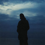 Willem Ardui - Oevers (LP)