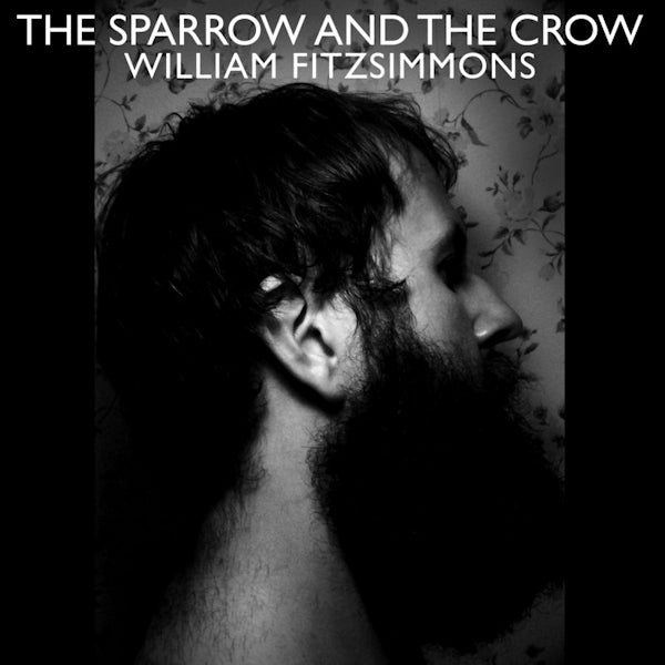 William Fitzsimmons - Sparrow and the crow (CD) - Velvet Music