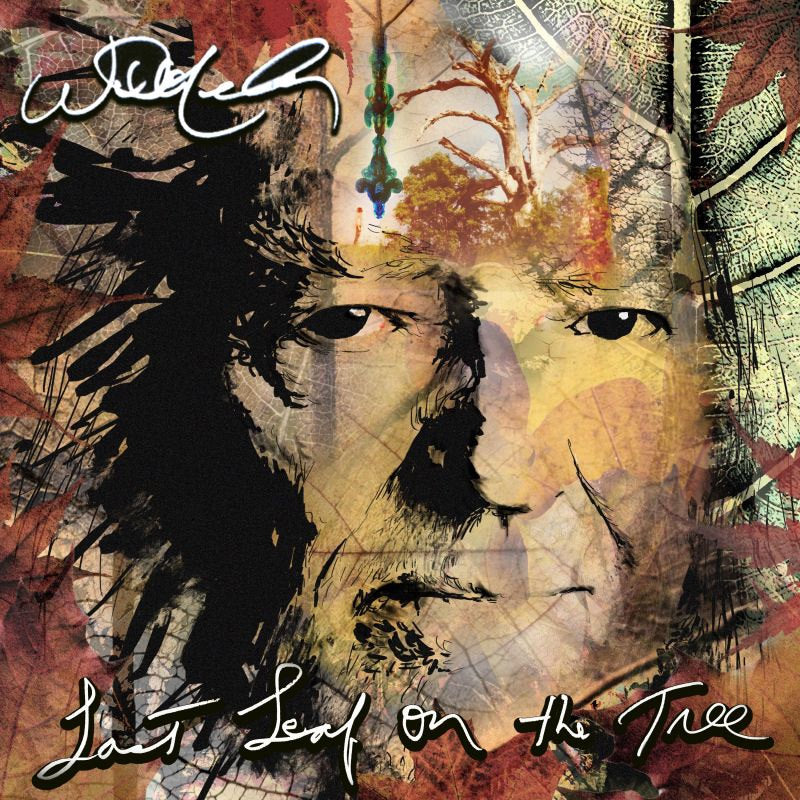 Willie Nelson - Last leaf on the tree (CD)