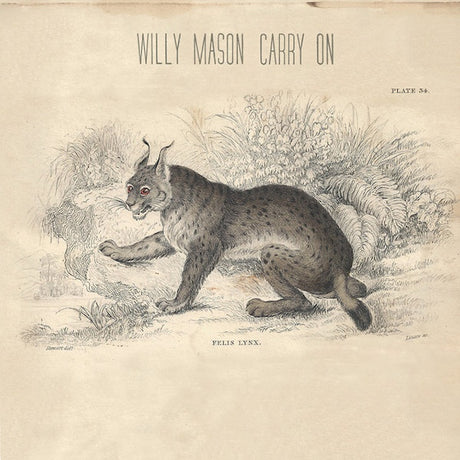 Willy Mason - Carry on (CD) - Velvet Music