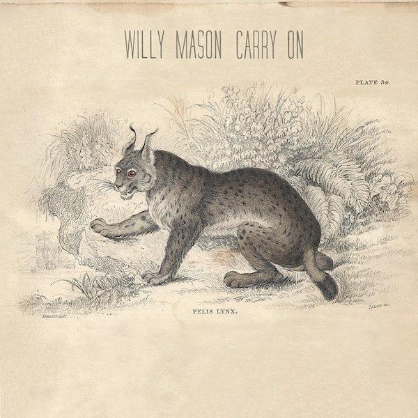 Willy Mason - Carry on (CD)