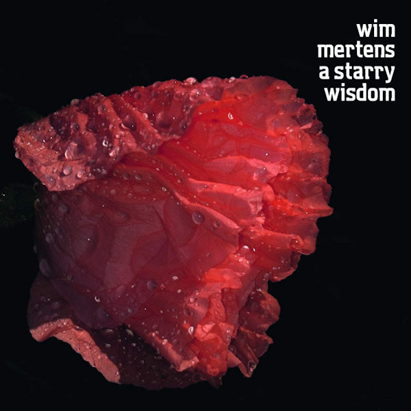 Wim Mertens - A starry wisdom (CD) - Velvet Music