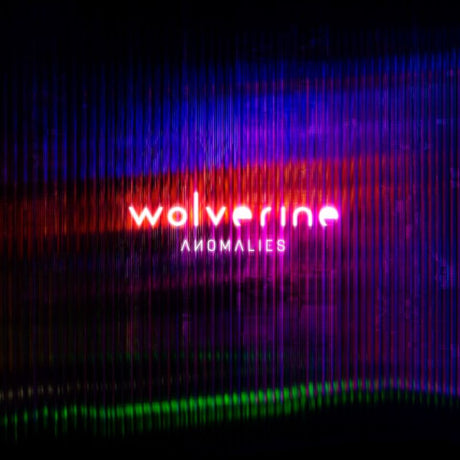 Wolverine - Anomalies (LP) - Velvet Music