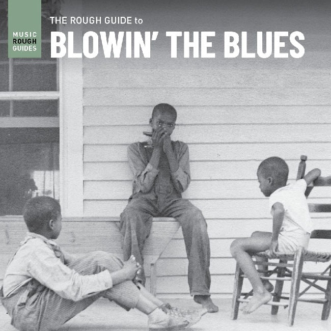 Various Artists - The rough guide to blowin' the blues (LP)
