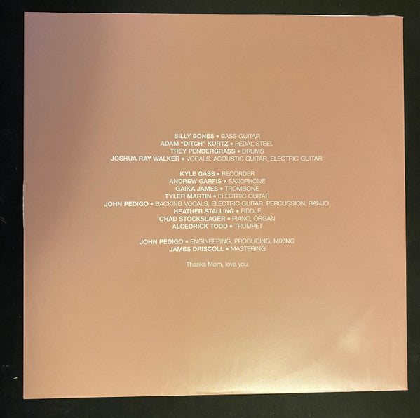 Joshua Ray Walker - What Is It Even? (CD)