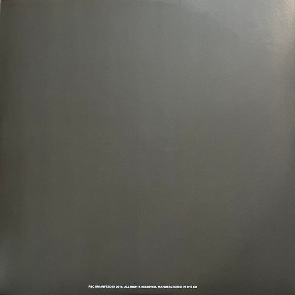 Jameszoo - Fool (LP) - Velvet Music
