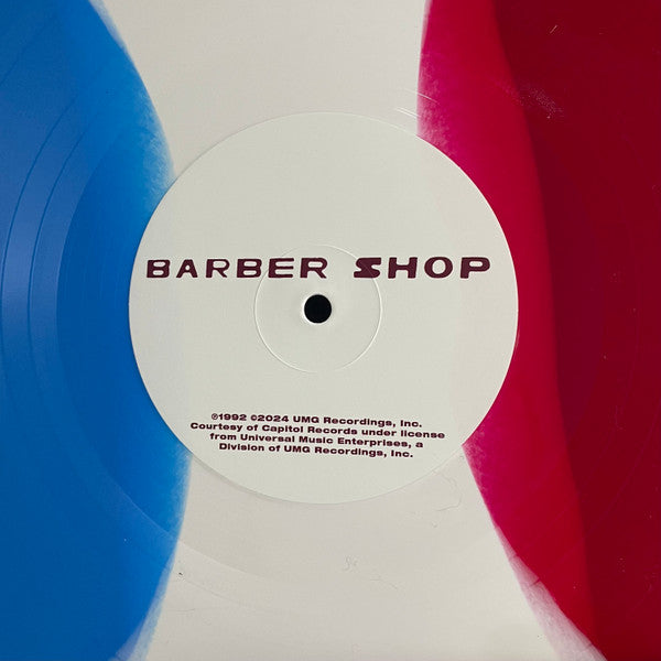 Drop Nineteens - Delaware (LP) - Velvet Music