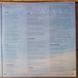 Björn van der Doelen En De Huursoldaten - Na Ons De Zondvloed (LP) - Velvet Music