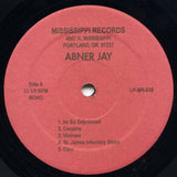 Abner Jay - True Story Of Abner Jay (LP) - Velvet Music