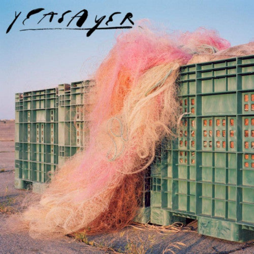 Yeasayer - Erotic reruns (LP) - Velvet Music