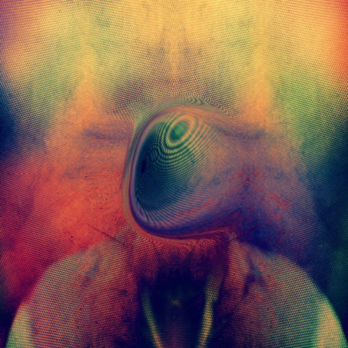 Young Magic - Melt (LP)
