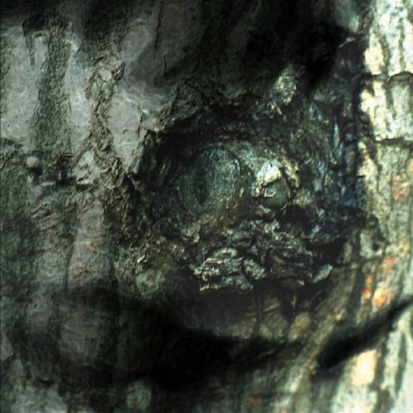 Yann Tiersen - Valse des monstres (CD)