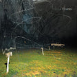 Yo La Tengo - This stupid world (CD)