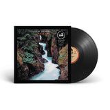 Yusuf / Cat Stevens - Back To Earth (LP) - Velvet Music