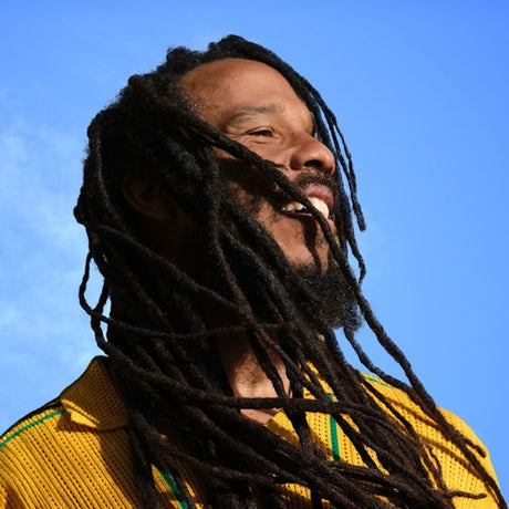 Ziggy Marley - Brightside (LP) - Velvet Music