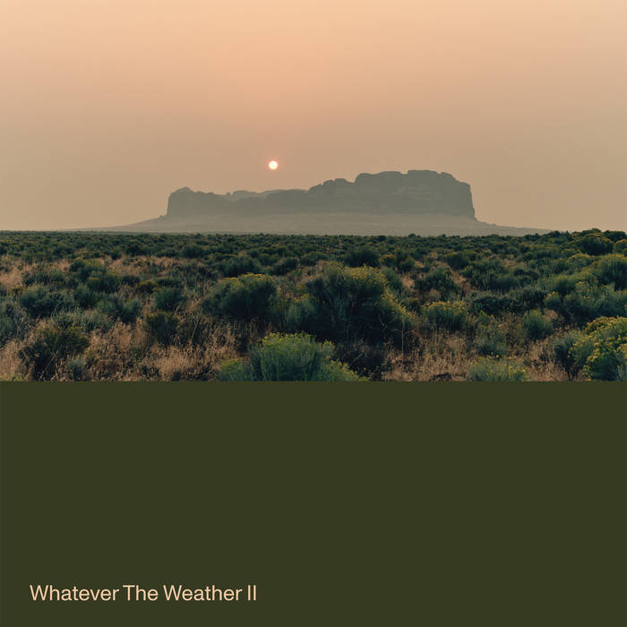 Whatever The Weather - Wahatever the weather ii (dark green) (LP)