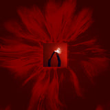 FLOATING POINTS - MERE MORTALS (LP)
